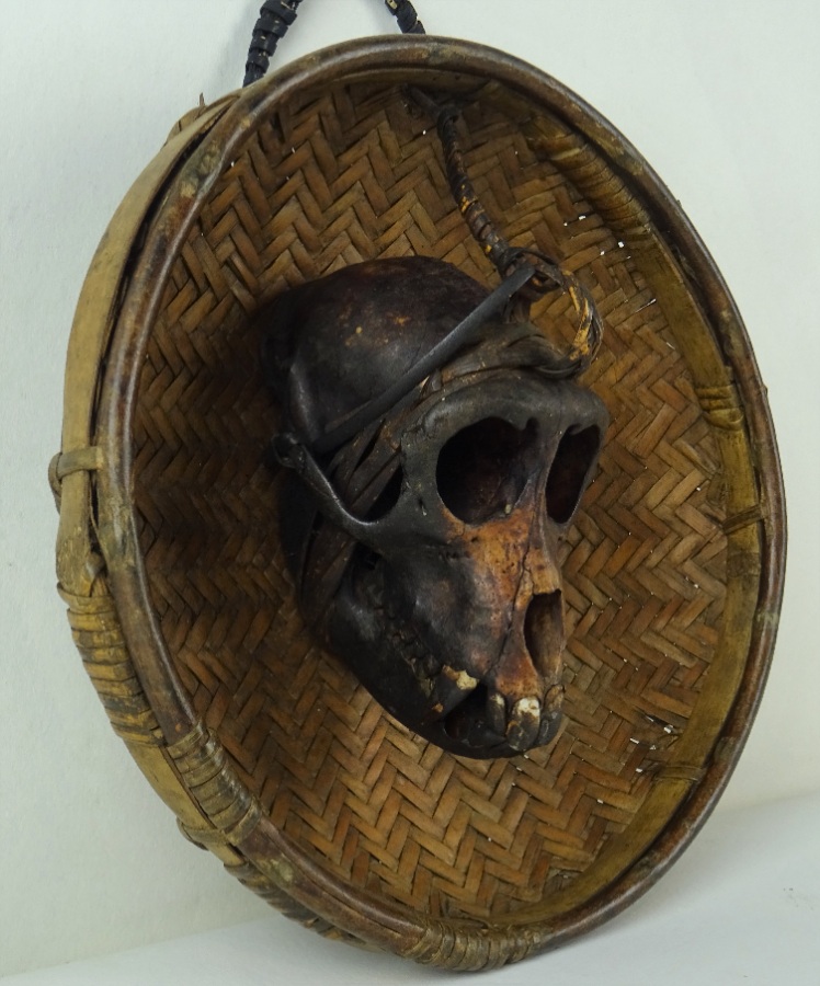 Tribal Monkey Skull